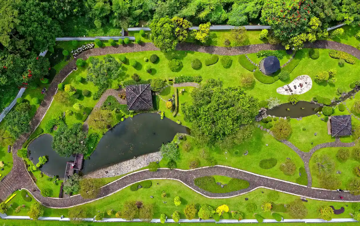 Landscape Design